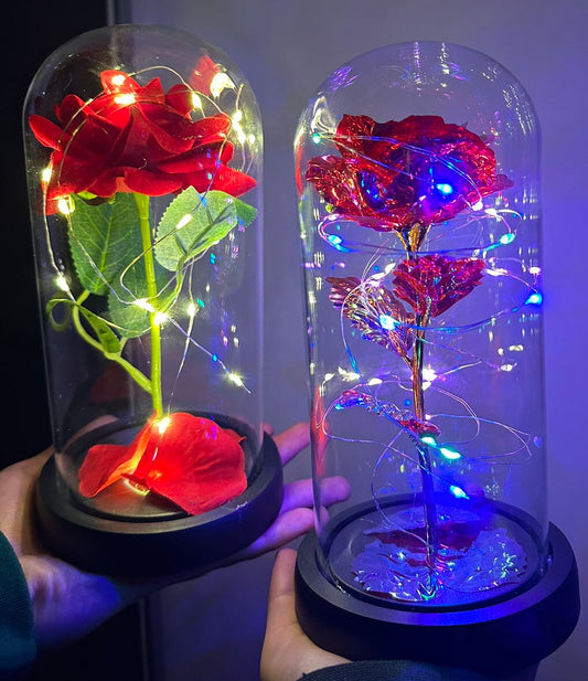 Ruža u staklenoj kupoli