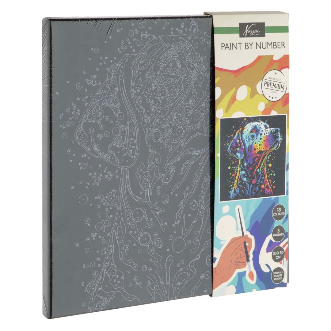 Slikarski set - oboj kucu