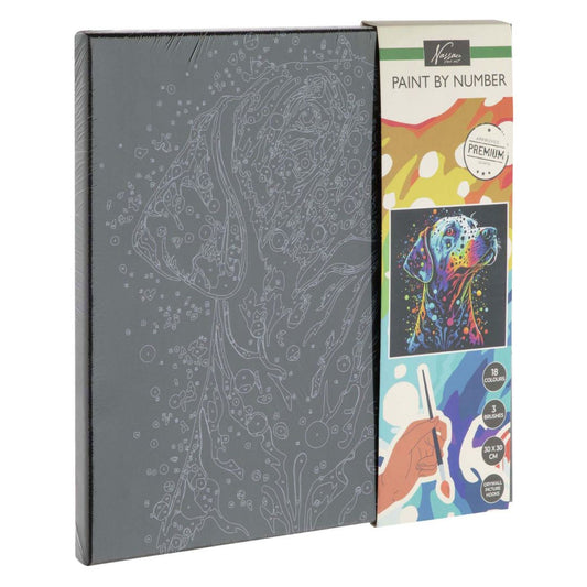 Slikarski set - oboj kucu